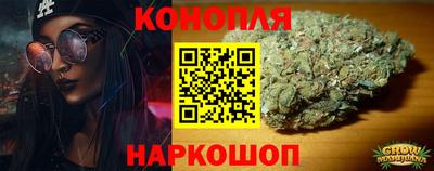 крисы Краснознаменск