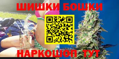 крисы Краснознаменск