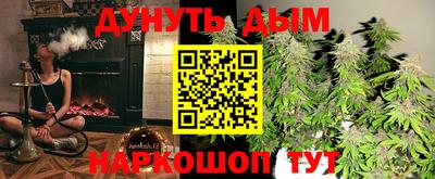 крисы Краснознаменск