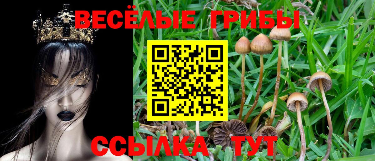 Псилоцибиновые грибы Magic Shrooms  Вход с VPN  Чебаркуль  Псилоцибиновые грибы мицелий 